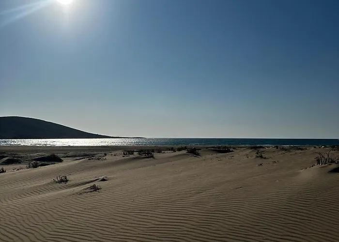 Lilium Villa Gennadi